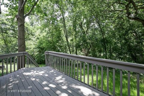 39 W169 Red Cloud Ln, Elgin, IL 60124 photo 18