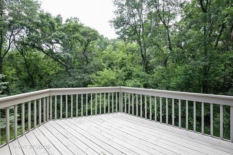 39 W169 Red Cloud Ln, Elgin, IL 60124 photo 19