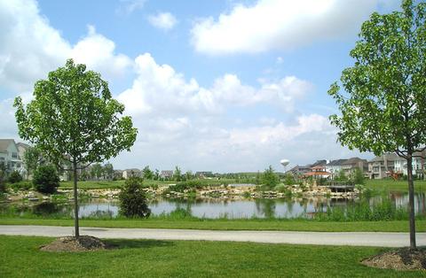 12904 Peppertree Dr, Plainfield, IL 60585 photo 33