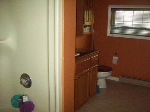 315 S Main St, Walnut, IL 61376 photo 14