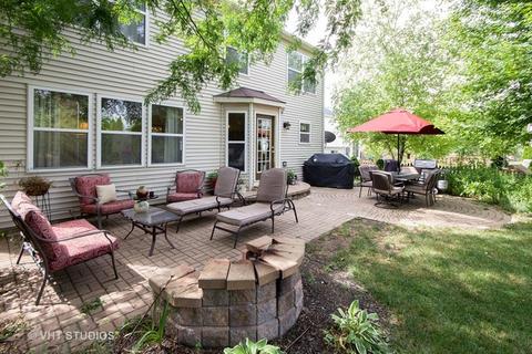 5315 White Oaks Ct, Plainfield, IL 60586 photo 18