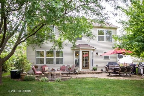 5315 White Oaks Ct, Plainfield, IL 60586 photo 20
