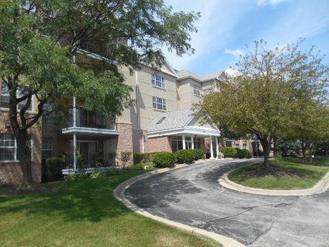 13750 Bristlecone Dr #410, Plainfield, IL 60544 photo 1