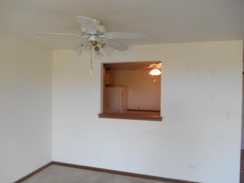 13750 Bristlecone Dr #410, Plainfield, IL 60544 photo 4