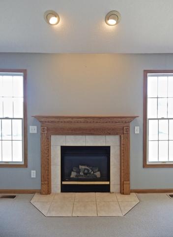 196 E Division St, Manteno, IL 60950 photo 6