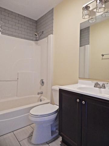 196 E Division St, Manteno, IL 60950 photo 23
