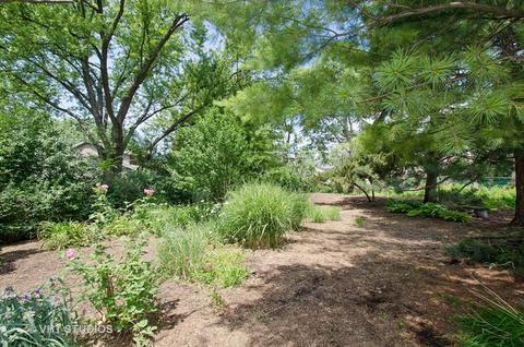1624 E Forest Ave, Des Plaines, IL 60018 photo 13