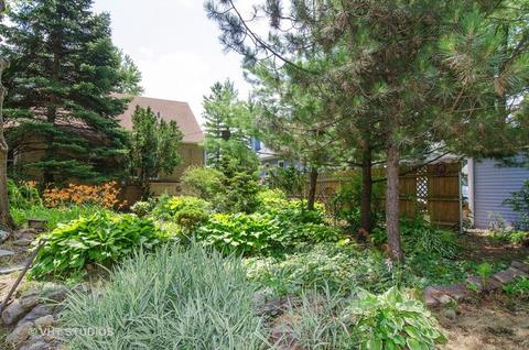 1624 E Forest Ave, Des Plaines, IL 60018 photo 15