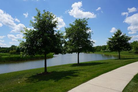 1144 Drury Ln, Aurora, IL 60502 photo 40