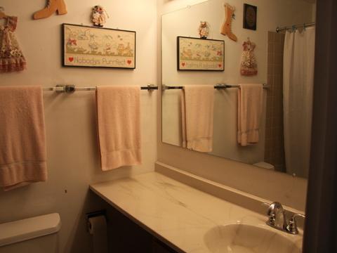 2900 Northampton Dr #B2, Rolling Meadows, IL 60008 photo 26