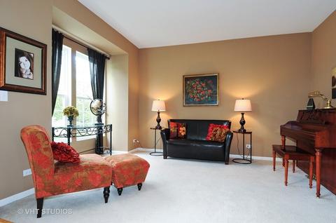 24043 Norfolk Ln, Plainfield, IL 60585 photo 5