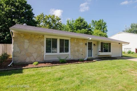1145 Hunter Dr, Elgin, IL 60120 photo 1