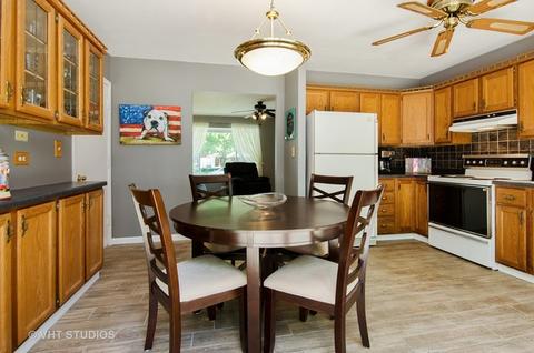 1145 Hunter Dr, Elgin, IL 60120 photo 4