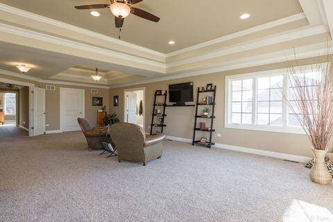 4528 Corktree Rd, Naperville, IL 60564 photo 31