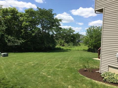 11744 S Decathalon Ln, Plainfield, IL 60585 photo 24