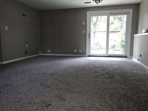 970 Grant St, Bartlett, IL 60103 photo 14