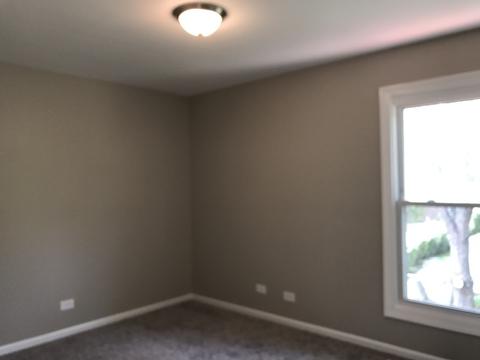 970 Grant St, Bartlett, IL 60103 photo 11