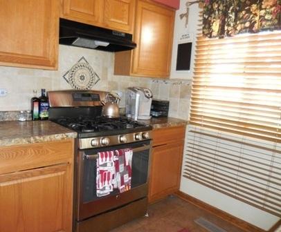 1377 Borden Dr, Elgin, IL 60120 photo 7