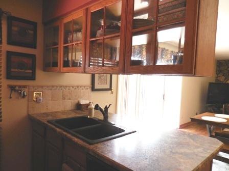 1377 Borden Dr, Elgin, IL 60120 photo 8