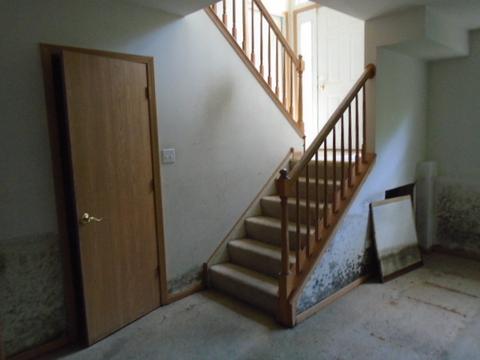 16110 Saint Louis Ave, Markham, IL 60428 photo 18