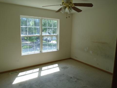 16110 Saint Louis Ave, Markham, IL 60428 photo 10