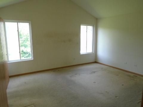 16110 Saint Louis Ave, Markham, IL 60428 photo 12
