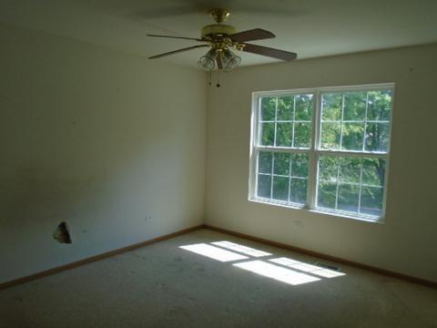 16110 Saint Louis Ave, Markham, IL 60428 photo 11