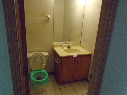 16110 Saint Louis Ave, Markham, IL 60428 photo 9