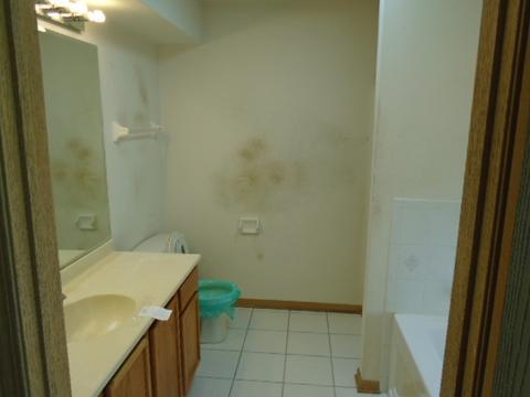 16110 Saint Louis Ave, Markham, IL 60428 photo 13