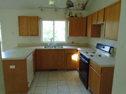 16110 Saint Louis Ave, Markham, IL 60428 photo 6