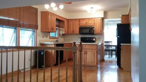 1053 Oak Dr, Beecher, IL 60401 photo 8