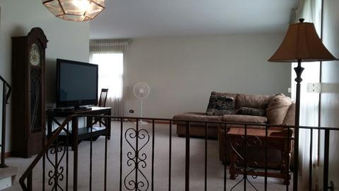 1053 Oak Dr, Beecher, IL 60401 photo 5