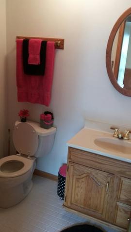 1053 Oak Dr, Beecher, IL 60401 photo 13