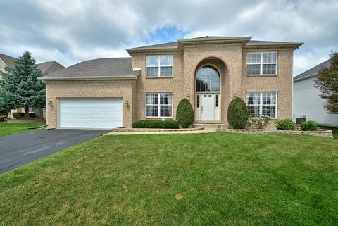 13722 Shriver Ct, Plainfield, IL 60544 photo 1