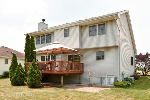 3205 Sandy Ridge Dr, Steger, IL 60475 photo 10