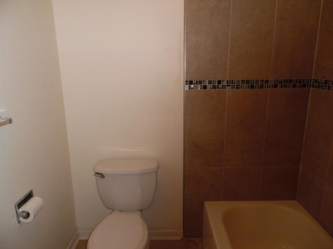 1002 Sandpiper Ct, Bartlett, IL 60103 photo 14