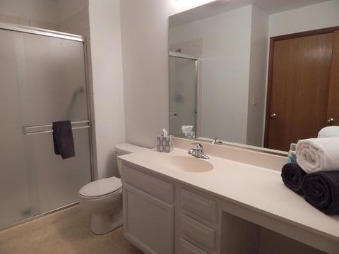 13330 Red Cedar Ln, Plainfield, IL 60544 photo 14