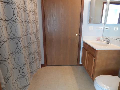 13330 Red Cedar Ln, Plainfield, IL 60544 photo 17