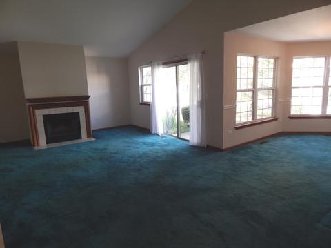 13330 Red Cedar Ln, Plainfield, IL 60544 photo 7