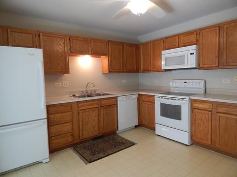 13330 Red Cedar Ln, Plainfield, IL 60544 photo 4