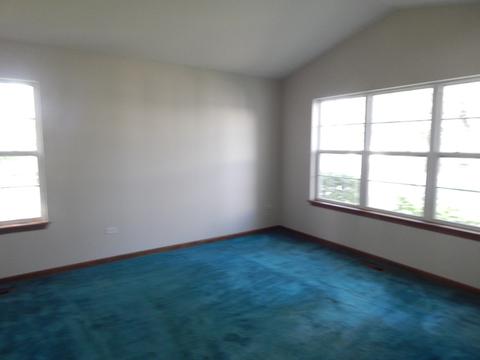 13330 Red Cedar Ln, Plainfield, IL 60544 photo 13