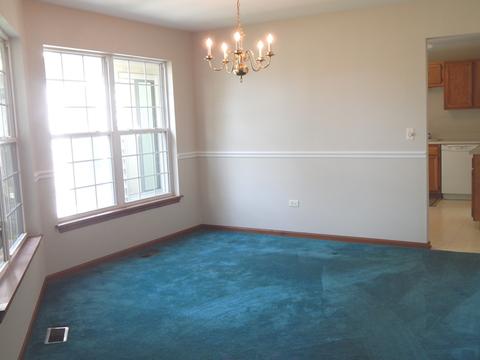 13330 Red Cedar Ln, Plainfield, IL 60544 photo 11