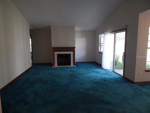 13330 Red Cedar Ln, Plainfield, IL 60544 photo 9
