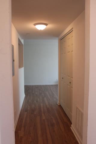 5201 Carriageway Dr #C307, Rolling Meadows, IL 60008 photo 13