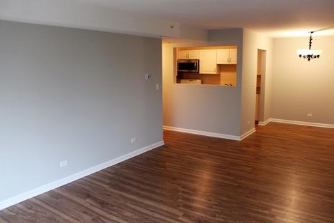 5201 Carriageway Dr #C307, Rolling Meadows, IL 60008 photo 7