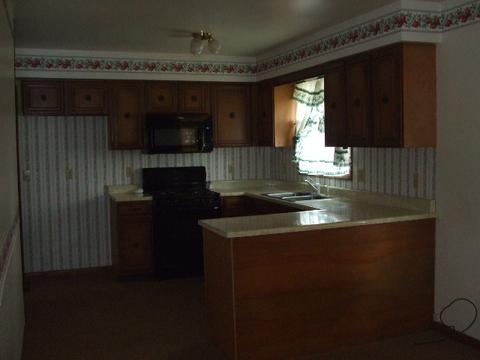 204 N 4th St, Danforth, IL 60930 photo 9