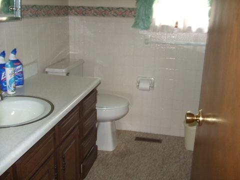 204 N 4th St, Danforth, IL 60930 photo 5