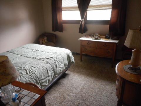 3517 Carpenter St, Steger, IL 60475 photo 8