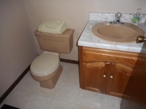 3517 Carpenter St, Steger, IL 60475 photo 7