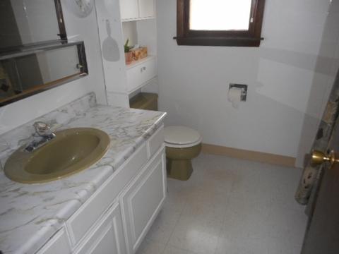 3517 Carpenter St, Steger, IL 60475 photo 10